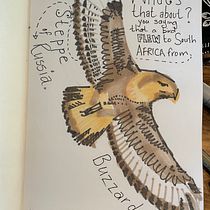 My project for course: Illustrated Life Journal: A Daily Mindful Practice. Fine Arts, Sketching, Creativit, Drawing, and Sketchbook project by Julie Anderson - 11.15.2022