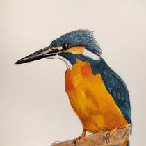 Mein Abschlussprojekt für den Kurs: Illustriere Vögel mit expressiven Aquarelltechniken. Traditional illustration, Watercolor Painting, Realistic Drawing, and Naturalistic Illustration project by Marleen Utech - 11.15.2022