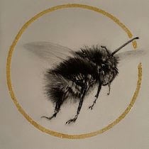 My project on the bee. I applied glitter instead of goldleaf.. Traditional illustration, Painting, and Naturalistic Illustration project by marc matoul - 11.17.2022