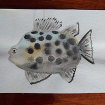 Mi proyecto del curso: Ilustración de universos marinos en acuarela. Un projet de Illustration traditionnelle, Peinture, Aquarelle et Illustration naturaliste de Belén Moreno - 18.11.2022