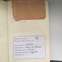 Meu projeto do curso: Tingimento têxtil com pigmentos naturais. Artesanato, Design de moda, DIY, Tingimento têxtil, e Design têxtil projeto de ericapcunha28 - 18.11.2022