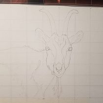 Mi proyecto del curso: Retratos de cabra en acuarela. Ilustração tradicional, Pintura em aquarela, Desenho realista e Ilustração naturalista projeto de Julia Serrano Pulido - 19.11.2022