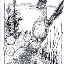 My project for course: Dip Pen and Ink Illustration: Capturing The Natural World Ein Projekt aus dem Bereich Skizzenentwurf, Zeichnung, Artistische Zeichnung, Sketchbook, Illustration mit Tinte und Naturalistische Illustration von Jean Conway - 19.11.2022