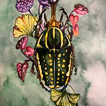 Meu projeto do curso: Aquarela botânica: pinte o mundo natural . % Beatriz Forjaz tarafından hazırlanan Güzel sanatlar, Tablo, Sulubo, a Resim, Botanik İllüstras, on, Doğalcı İllüstras, Ve on projesi - 11.19.2022