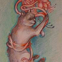 Cat with flowers  Ein Projekt aus dem Bereich Traditionelle Illustration, Bleistiftzeichnung, Zeichnung, Artistische Zeichnung, Naturalistische Illustration, Zeichnen mit Buntstiften und Bildende Künste von Vasile Oana - 13.11.2022