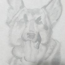 Mi proyecto del curso: Dibujo naturalista de animales con grafito. Traditional illustration, Pencil Drawing, Drawing, and Naturalistic Illustration project by despegarboyaca - 11.18.2022