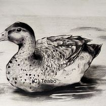My project for course: Naturalistic Animal Drawing with Graphite Pencil.. Ilustração tradicional, Desenho a lápis, Desenho e Ilustração naturalista projeto de S. Teabo - 23.11.2022