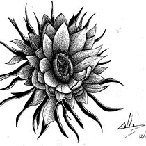 Meu projeto do curso: Desenho de tatuagem blackwork. Un projet de Illustration traditionnelle, Illustration numérique , et Conception de tatouage de Rafael Caldana - 23.11.2022