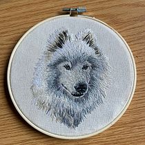 Mi proyecto del curso: Needle painting para principiantes. Embroider, Naturalistic Illustration, and Textile Design project by esperanzasr - 11.23.2022