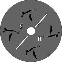 Disco: Spook-Night. Design projeto de elearning4120 - 23.11.2022