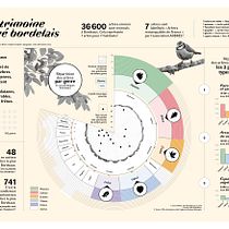 Visualisation de données : parc arboré bordelais. Information Design, Interactive Design & Infographics project by Marie Dufay - 11.24.2022