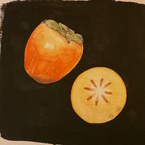 Endproject: illustrate art and science with botanic aquarel. Traditional illustration, Fine Arts, Painting, Watercolor Painting, and Botanical Illustration project by Elfje van Kuijen - 11.25.2022