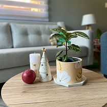 “PLANTA EN CONCRETO” Mi proyecto del curso: Creación de muebles en concreto para principiantes. Een project van Craft, Meubelontwerp en -bouw, Interieurontwerp,  Interieur, DIY y  Ontwerp van Romina Muñoz - 10.10.2022