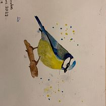 My project for course: Artistic Watercolor Techniques for Illustrating Birds. Traditional illustration, Watercolor Painting, Realistic Drawing, and Naturalistic Illustration project by per.federica - 11.28.2022