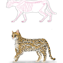 Mi proyecto del curso: Creación de personajes antropomorfos. Traditional illustration, Character Design, Drawing, Digital Illustration, and Watercolor Painting project by Jose Velasco - 05.21.2023