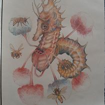 Mi proyecto del curso: Ilustración surrealista inspirada en la naturaleza. Traditional illustration, Pencil Drawing, Drawing, Artistic Drawing, Naturalistic Illustration, and Colored Pencil Drawing project by Sandrine Molinas - 11.29.2022