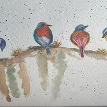 Mi proyecto del curso: Acuarela artística para ilustración de aves. Watercolor Painting, Traditional illustration, Realistic Drawing, and Naturalistic Illustration project by Wima Dathe - 11.29.2022