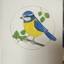 Mi proyecto del curso: Acuarela con detalles en filigrana y toques metálicos. Traditional illustration, Painting, Watercolor Painting, Botanical Illustration, Naturalistic Illustration, and Decorative Painting project by irisitamedina - 11.29.2022