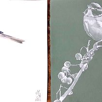CINCIARELLA: Illustrazione naturalistica: acquerello in positivo e negativo . Un progetto di Illustrazione tradizionale, Belle arti, Pittura, Disegno, Pittura ad acquerello, Illustrazione botanica e Illustrazione naturalistica di sorelle_mason - 29.11.2022