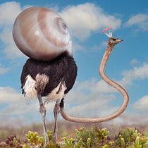 Mon projet du cours : Photomontage et illustrations fantastiques sur Photoshop. Photograph, Collage, Photo Retouching, Digital Illustration, Photographic Composition, and Photomontage project by David Delepinne - 11.30.2022