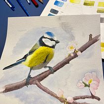 My project for course: Artistic Watercolor Techniques for Illustrating Birds. Traditional illustration, Watercolor Painting, Realistic Drawing, and Naturalistic Illustration project by Nikolaj Schouboe Lovring - 11.30.2022