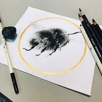 My projects for course: Illustrating the Natural World with Watercolor and Charcoal. Traditional illustration, Painting, and Naturalistic Illustration project by zhengnan1206 - 11.29.2022