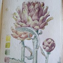 My project for course: Botanical Watercolor: Illustrate the Anatomy of Flowers. Un progetto di Illustrazione tradizionale, Belle arti, Pittura, Disegno, Pittura ad acquerello e Illustrazione botanica di jess.c.cook - 01.12.2022
