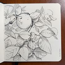 My project for course: Illustrated Diary: Fill Your Sketchbook with Experiences. Traditional illustration, Sketching, Drawing, Sketchbook & Ink Illustration project by not_important - 12.02.2022