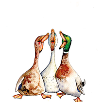 Mijn project van de cursus: Ontwerp expressieve karakters met aquarel en kroontjespen. Un progetto di Illustrazione tradizionale, Character design, Pittura, Bozzetti, Disegno, Pittura ad acquerello, Stor, telling, Disegno artistico, Illustrazione infantile e Narrativa di gert_vandaele - 02.12.2022