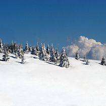 Vacanza sulla neve. Writing, Stor, telling, and Narrative project by Maria Grazia Pizzicaro - 12.03.2022