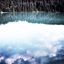 Mein Abschlussprojekt für den Kurs: Moderne Naturfotografie: Technische und kreative Grundlagen Ein Projekt aus dem Bereich Fotografie, Bildbearbeitung, Social Media, Digitalfotografie, Außenfotografie und Fotografische Komposition von basiag77 - 03.12.2022