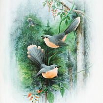  Botanical Watercolor: Illustrating Art and Science- Final projects ( pear). Un progetto di Illustrazione tradizionale, Belle arti, Pittura, Disegno, Pittura ad acquerello e Illustrazione botanica di Morgan Ferne - 30.11.2022