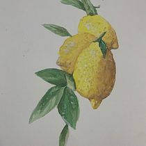 Meu projeto do curso: Ilustração botânica com aquarela. Traditional illustration, Fine Arts, Painting, Drawing, Watercolor Painting, and Botanical Illustration project by Camila Mochiutti - 11.05.2022