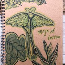 Meu projeto do curso: Sketchbook experimental: encontre seu estilo de desenho. Traditional illustration, Sketching, Creativit, Drawing, Watercolor Painting, and Gouache Painting project by Maria Julia dos Santos Horacio - 12.04.2022