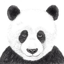 My project for course: Naturalistic Animal Drawing with Graphite Pencil by maripatch. Traditional illustration, Pencil Drawing, Drawing, and Naturalistic Illustration project by Marianne Larson - 11.25.2022