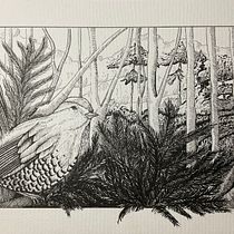 Mi proyecto del curso: Ilustración con tinta y plumilla: captura el mundo natural. Sketching, Drawing, Artistic Drawing, Sketchbook, Ink Illustration, and Naturalistic Illustration project by Constanza - 12.04.2022