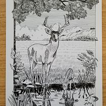 My project for course: Dip Pen and Ink Illustration: Capturing The Natural World. Sketching, Drawing, Artistic Drawing, Sketchbook, Ink Illustration, and Naturalistic Illustration project by Diana Poell - 12.05.2022