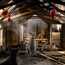 Mi proyecto del curso: Secretos del fotomontaje y el retoque creativo. Photograph, Photograph, Post-production, VFX, Photo Retouching, Fine-Art Photograph, Photographic Composition, and Photomontage project by Vlad Patsukevich - 12.06.2022