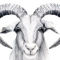 My project for course: Zodiac Illustration: Creating A Unique Series. Traditional illustration, Digital Illustration, Stor, and telling project by Valya Papadopoulou - 12.01.2022