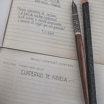 Proyecto Final para el curso de Novela de Cristina López Barrio. Writing, Creativit, Stor, telling, Narrative, Fiction Writing, and Creative Writing project by Maria Fernanda Navarrete Dattwyler - 12.07.2022