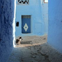 My final project! . Fotografie, Fotografie în aer liber și Fotografii de stil de viață de Nicola Guidi - 12.07.2022