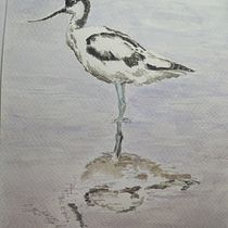 Ilustración de una avoceta con acuarela. Ilustração tradicional, Pintura em aquarela, Desenho realista e Ilustração naturalista projeto de turr4do - 07.12.2022