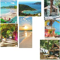 My project for course: Moody Digital Illustration Tropical. Traditional illustration, Digital Illustration, Digital Drawing, Sketchbook, and Narrative project by jonosol22 - 12.08.2022