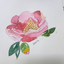 Meu projeto do curso: Aquarela botânica: ilustre a anatomia das flores. Un progetto di Illustrazione tradizionale, Belle arti, Pittura, Disegno, Pittura ad acquerello e Illustrazione botanica di camilecarvalhojoias - 08.12.2022