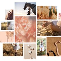 Mój projekt z kursu: Fotografia produktowa . Photograph, Photograph, Post-production, Product Photograph, and Food Photograph project by velanica - 12.08.2022