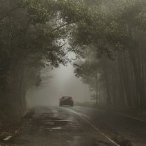 Misterios en Dark Lavender Woods . Un projet de Écriture, Créativité, Stor, telling, Narration, Écriture de fiction , et Écriture créative de viviluc19 - 06.12.2022