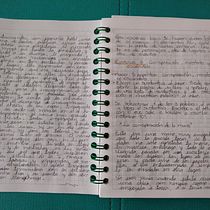Mi proyecto del curso: Gimnasio de escritura: de la hoja en blanco a la práctica cotidiana Ein Projekt aus dem Bereich Schrift, Kreativität, Stor, telling, Erzählung und Kreatives Schreiben von Natalia Lamprea - 10.12.2022