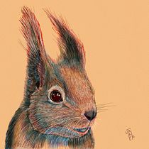 Mi proyecto del curso: Ilustración naturalista de la Ardilla Roja. Un proyecto de Ilustración tradicional, Ilustración digital, Dibujo realista e Ilustración naturalista				 de Luis Alejandro Robayo León - 10.12.2022