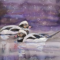 My project for course: Artistic Watercolor Techniques for Illustrating Birds. Traditional illustration, Watercolor Painting, Realistic Drawing, and Naturalistic Illustration project by Kim Ritthagen - 12.09.2022