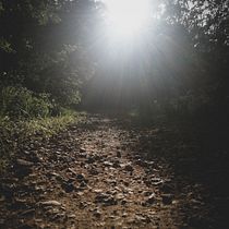 Il mio progetto del corso: Scrittura creativa per principianti: dai vita alla tua storia. Un proyecto de Escritura, Creatividad, Stor, telling, Narrativa y Escritura creativa de Vito Curlo - 11.12.2022